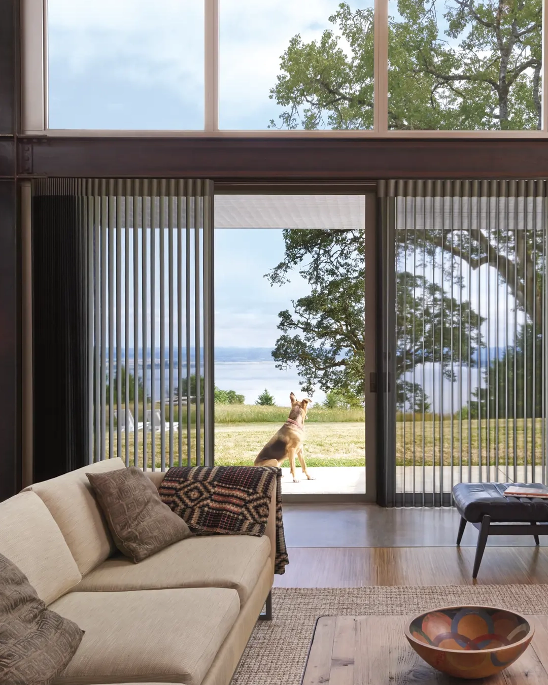 Patios and backyard areas